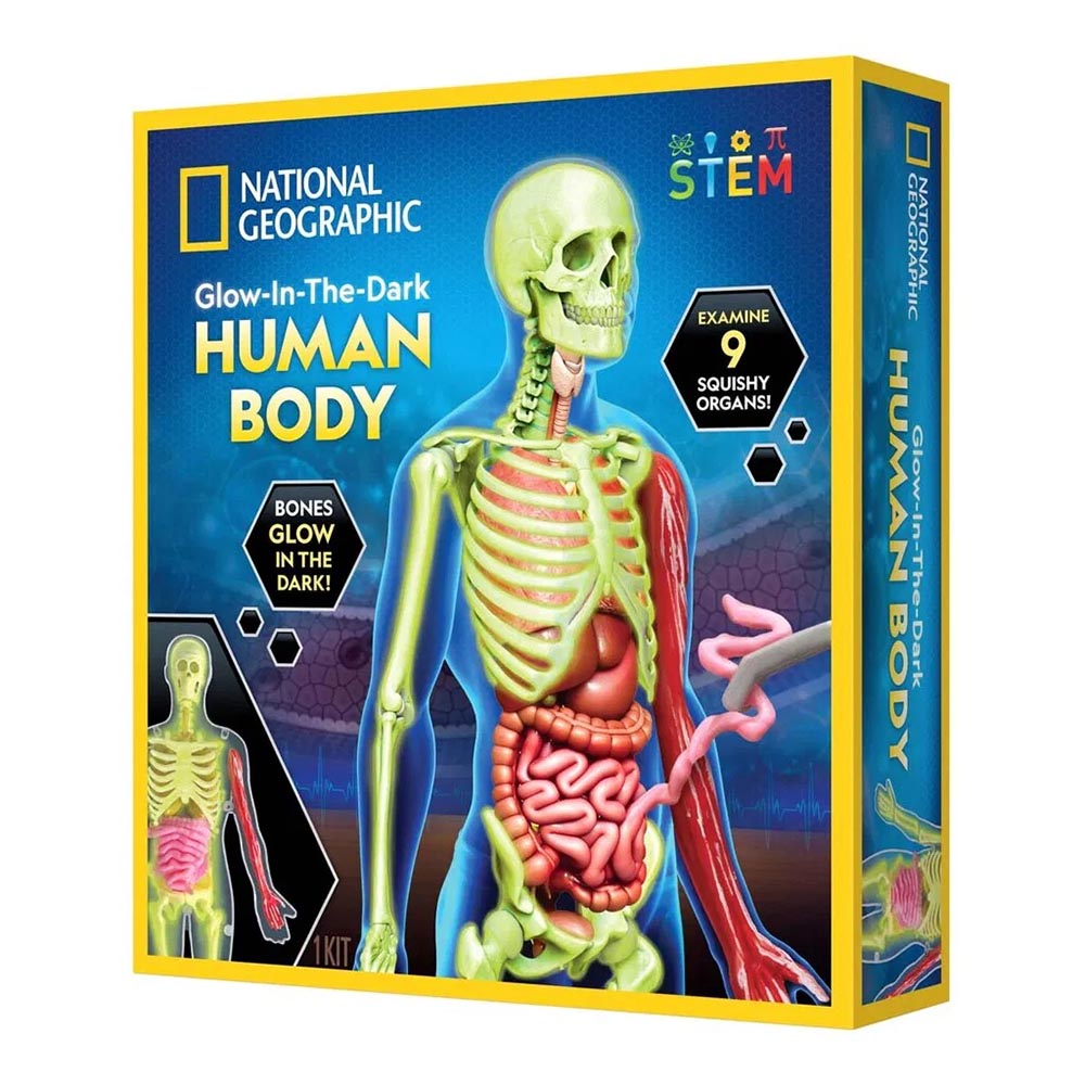 National Geographic - Human Body Science Kit