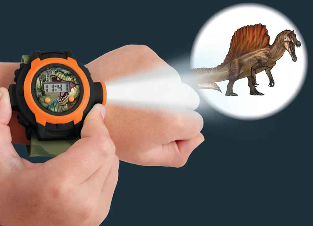 Brainstorm - Dinosaur Projector Ur