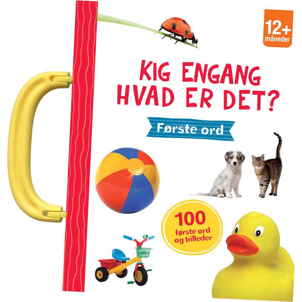 Kig engang - Hvad er det? Første ord