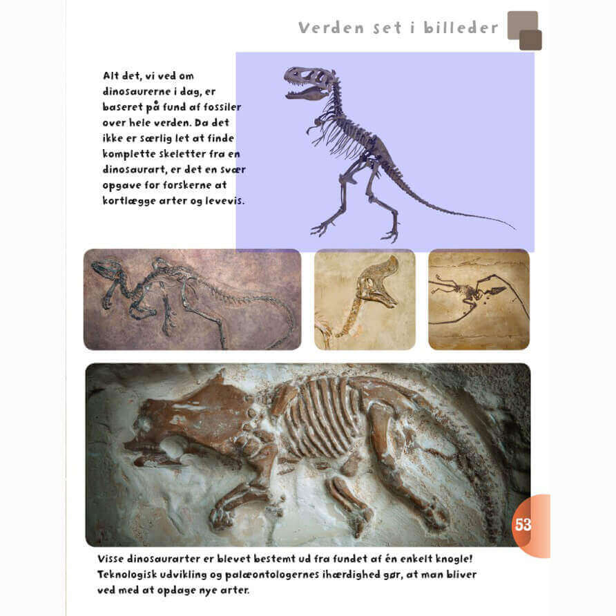 Forlaget Bolden - Dinosaurer og andre øgler fra fortiden