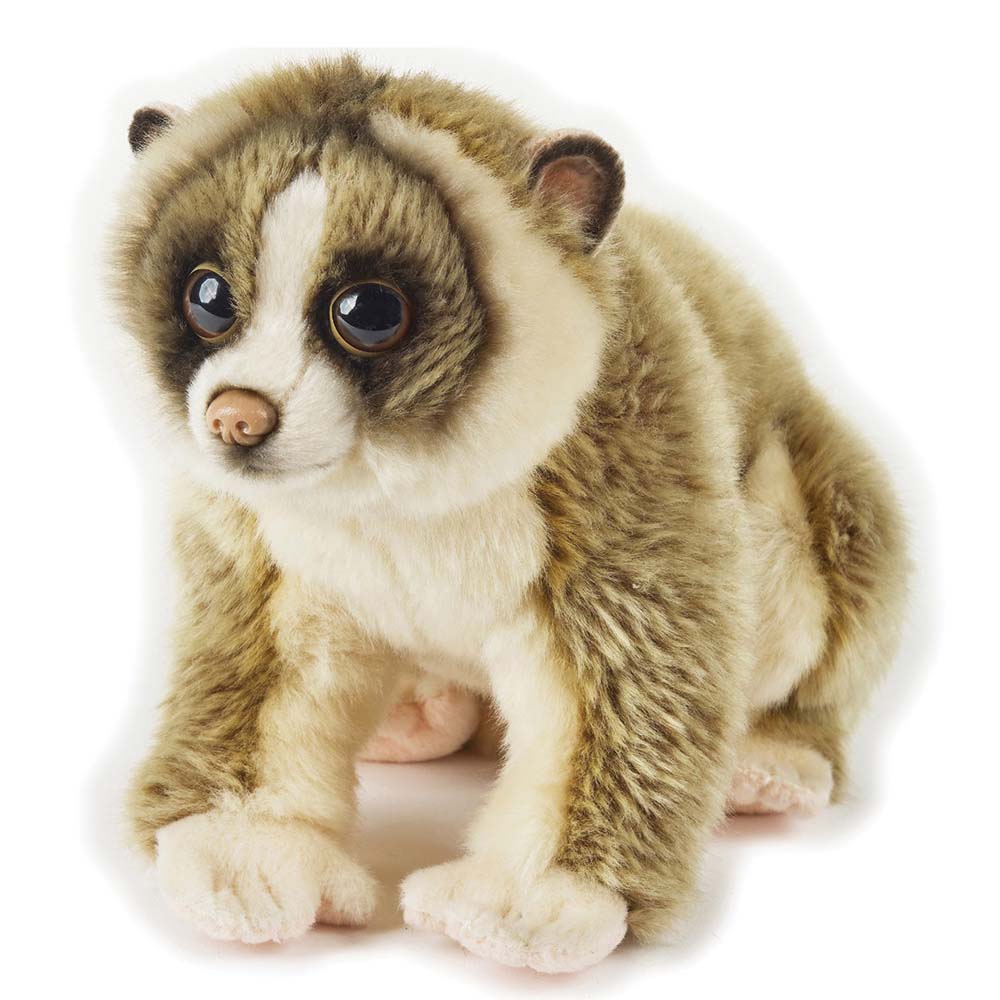 National Geographic - Loris