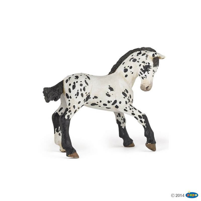 Papo - Sort appaloosa føl