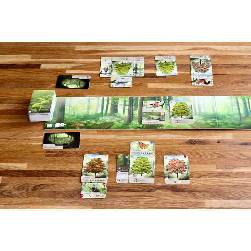 Forest Shuffle (DA)