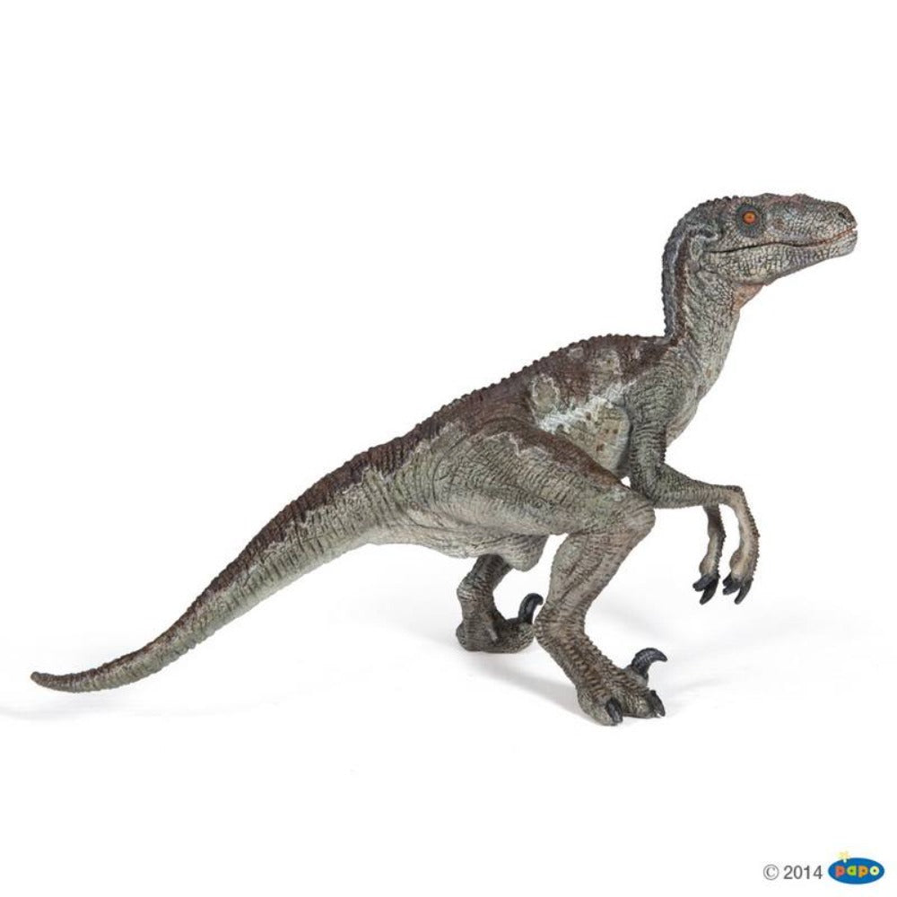 Papo - Dinosaur - Velociraptor