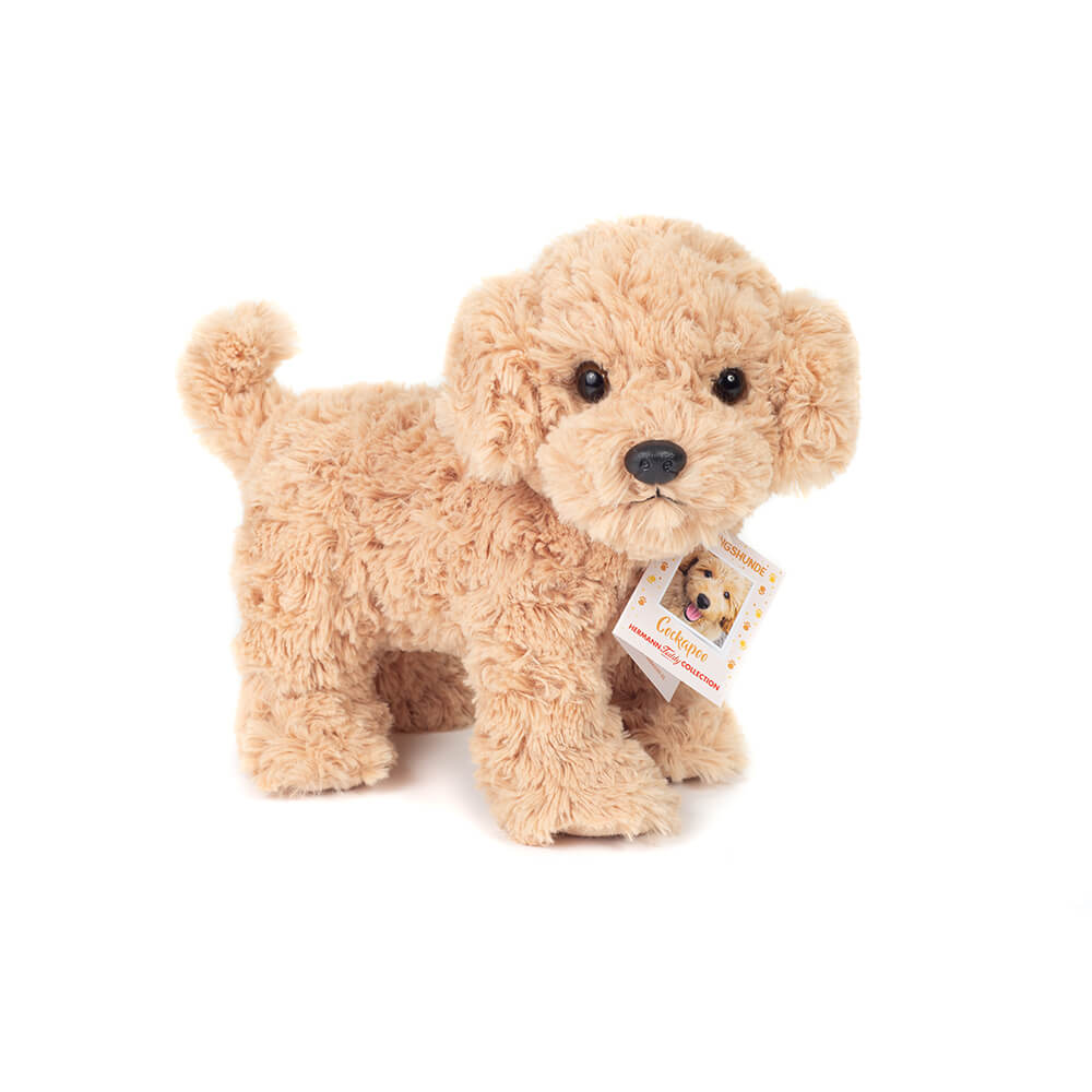 Hermann Teddy - Stående Cockapoo 23 cm