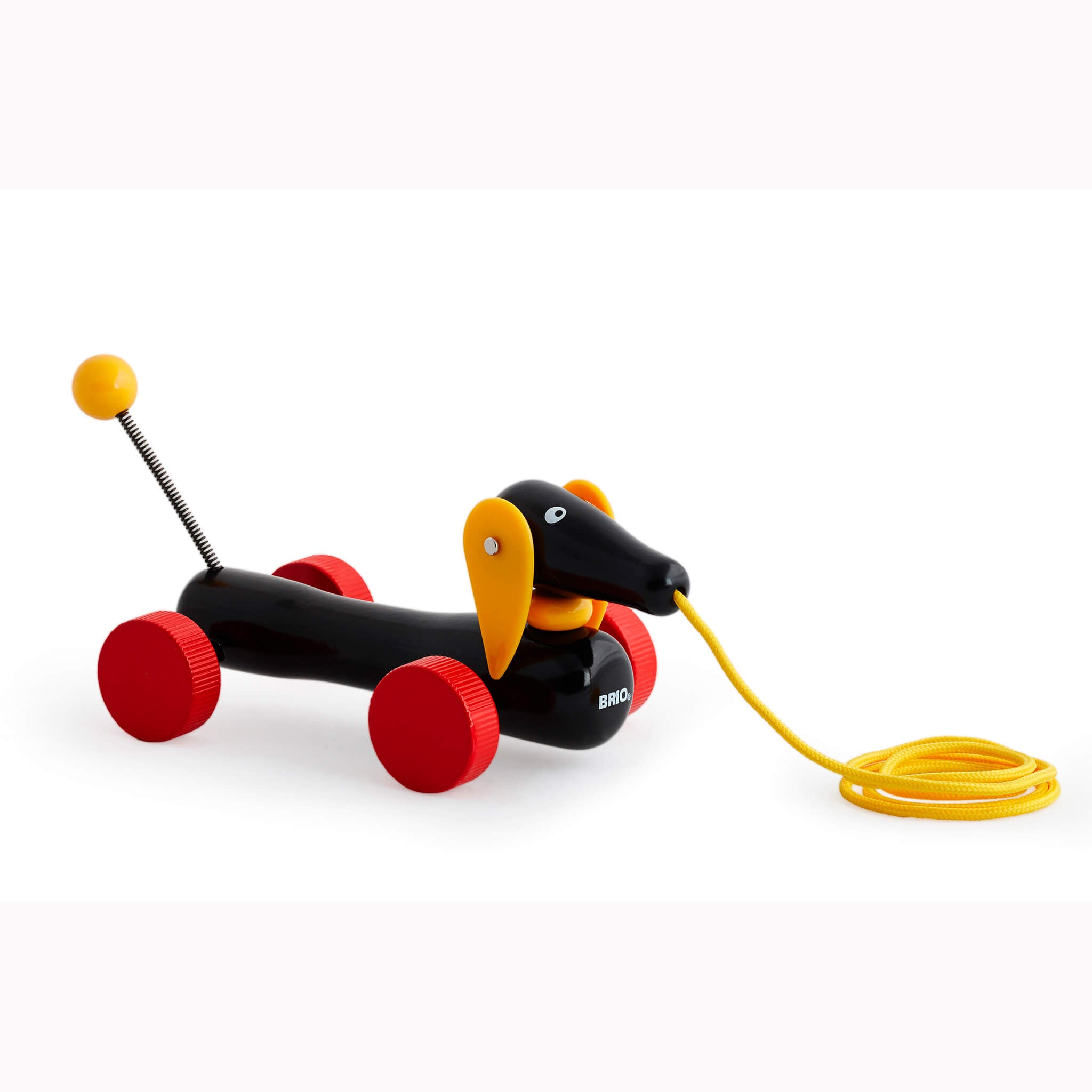 Brio - Dachsie, Gravhund