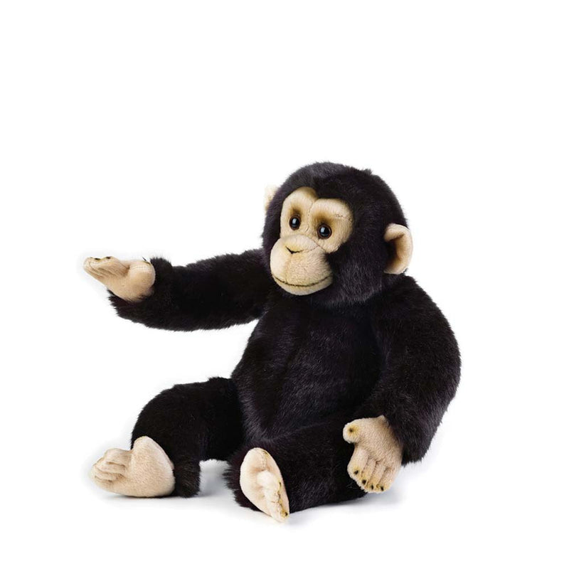 National Geographic - Chimpanse