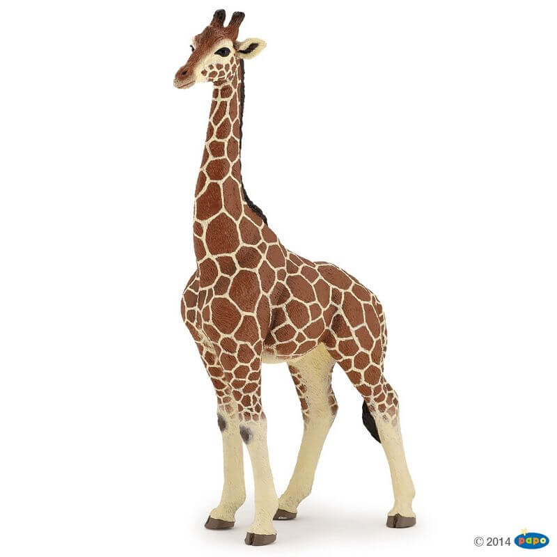 Papo - Giraf