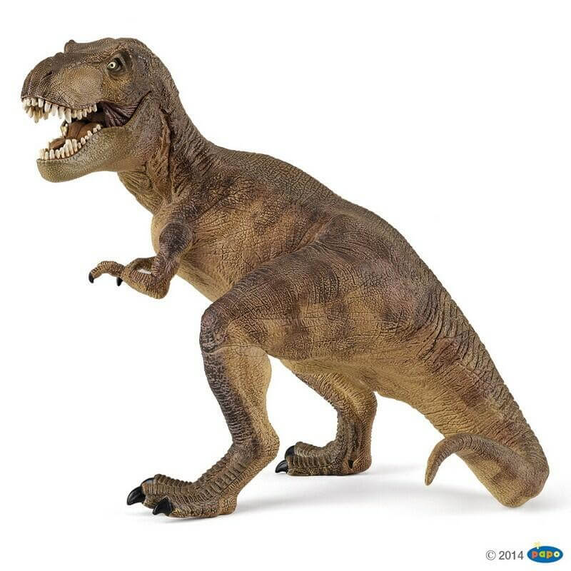 Papo - Dinosaur - T-Rex
