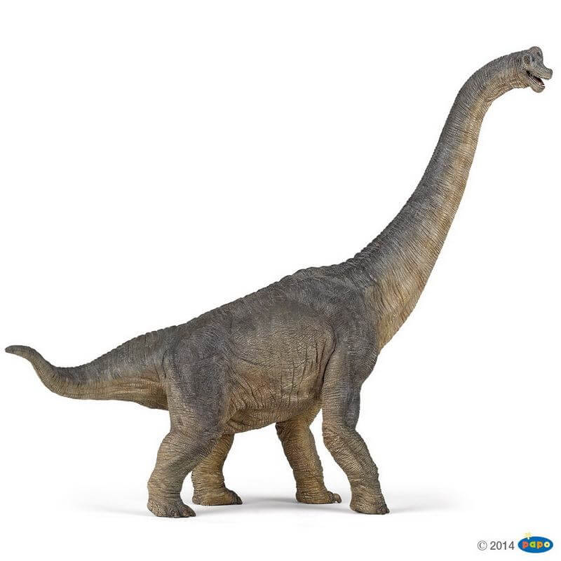 Papo - Dinosaur - Brachiosaurus