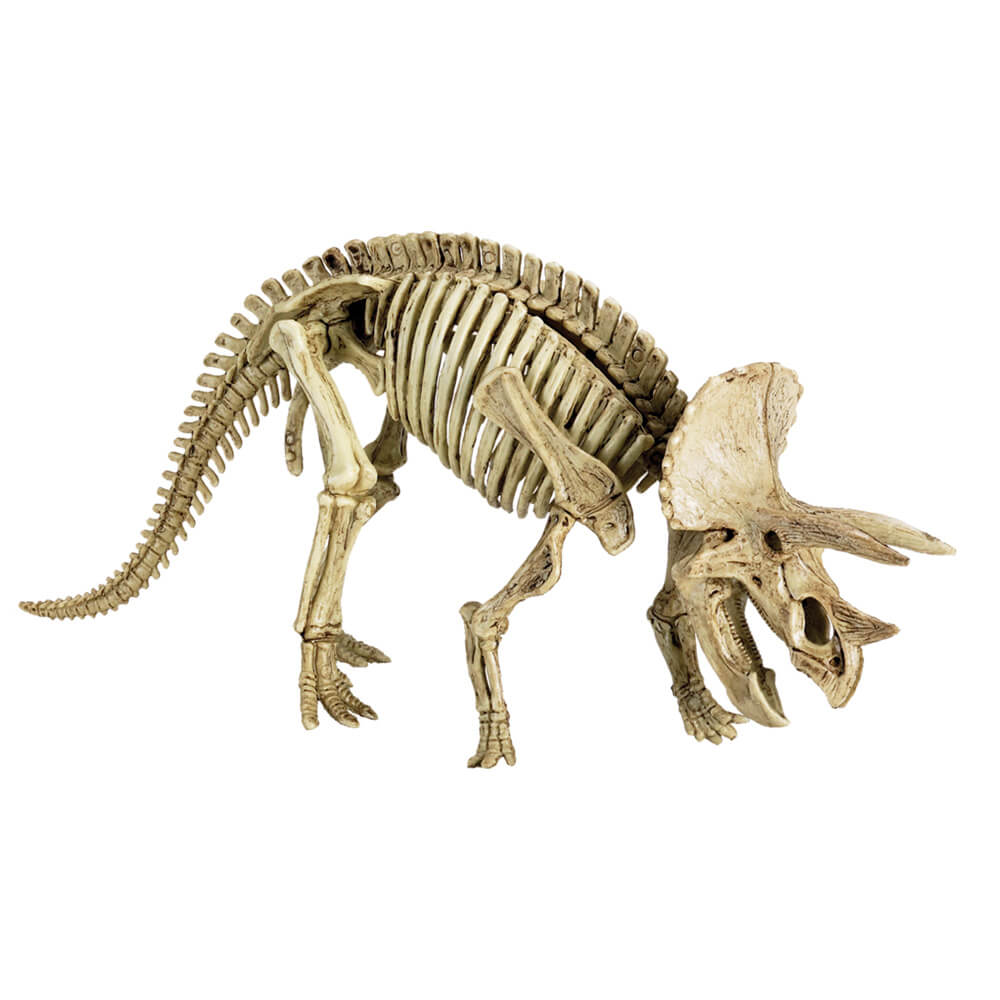Spiegelburg - Udhug Triceratops